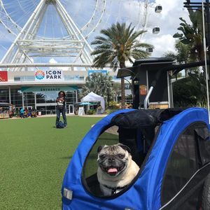 Meet your Posher, Robert